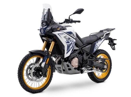 VOGE 800 RALLY